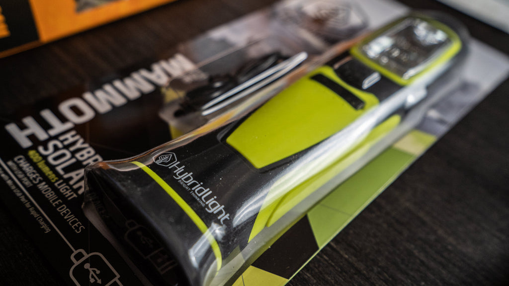 June 2019 Full Draw Box